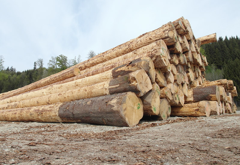 Hochwertiges Holz aus der Region von Sägewerk Kühler im Chiemgau